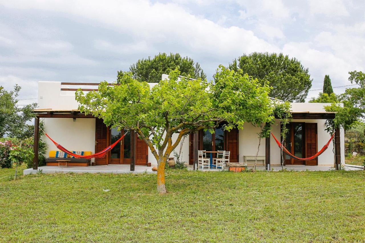 Nômade B&B Balestrate Extérieur photo